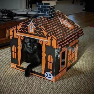 🐈⬛ Orange And Black Haunted House Cat Scratcher ❗Cat in photo isn't for sale ❗